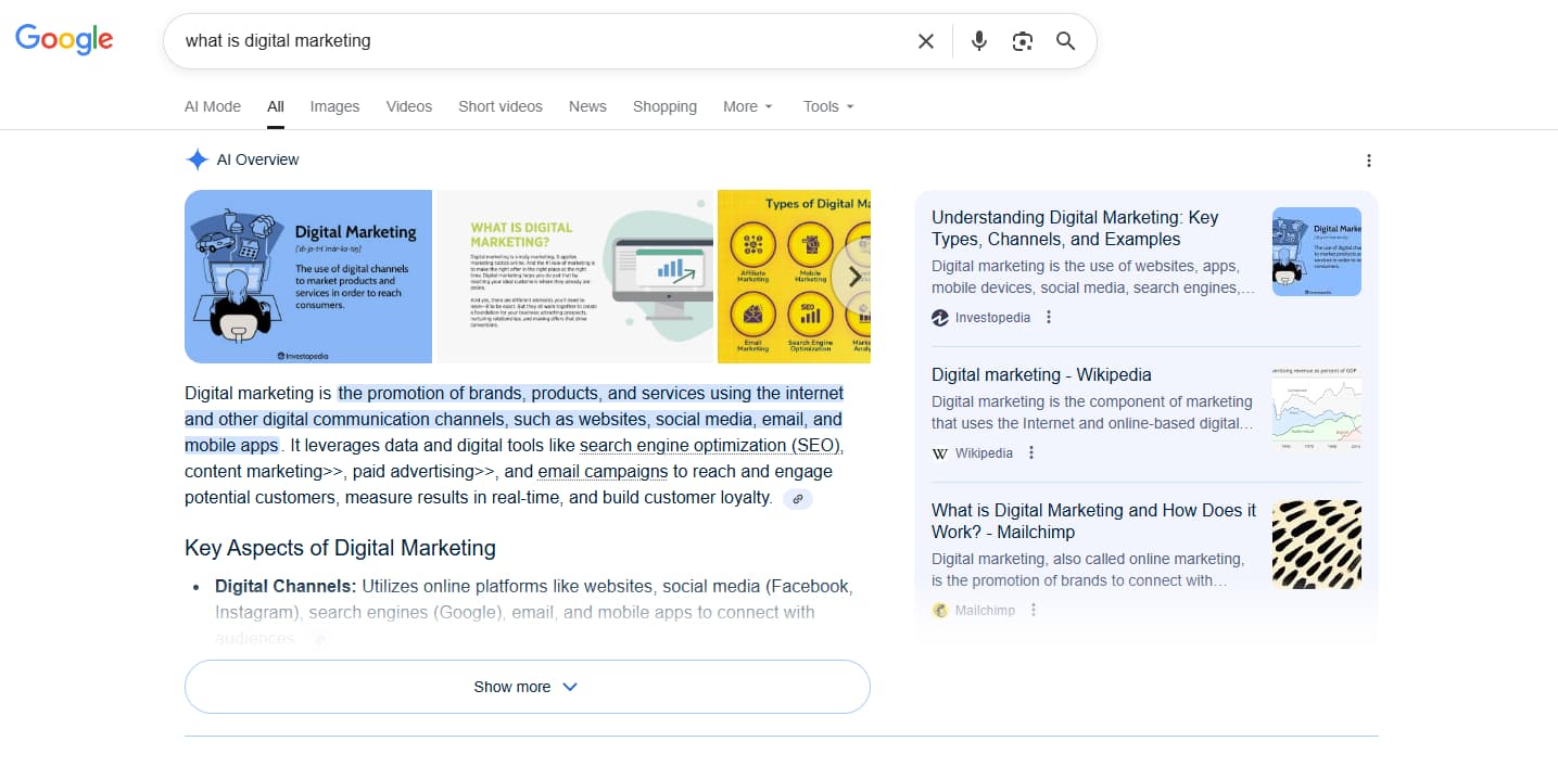 AI Overviews Screenshot